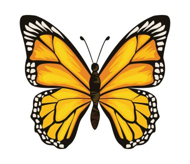 Sarı Kelebek Böceği simgesi