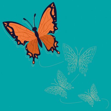 beauty orange butterfly insect icon