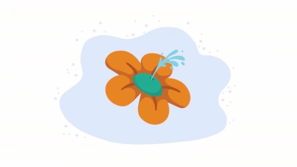 Water Flower Prank Comic Animation Video Animated — Stok Video