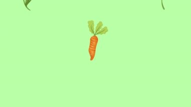 Çiçekler ve havuçlar bahar mevsimi deseni, 4k video animasyonu