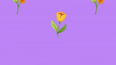 Çiçekler bahar sezonu desenli animasyon, 4k video animasyonu