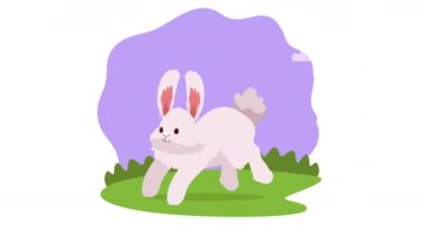 Çevrede koşan sevimli tavşan, 4k video animasyonu