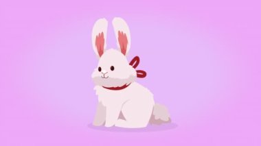 Yay karakteri olan sevimli tavşan, 4k video animasyonu