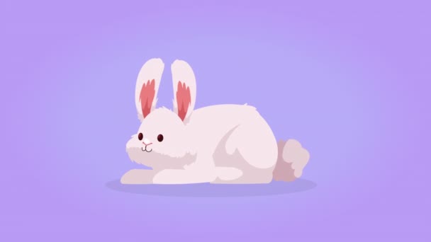 Cute Rabbit Lying Position Character Video Animated — Stock Video