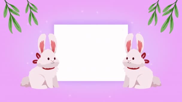 Simpatici Conigli Animazione Cornice Video Animato — Video Stock