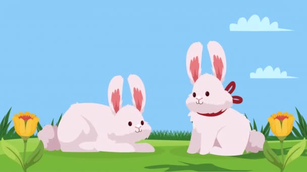 Cute Rabbits Garden Video Animated — Stock Video