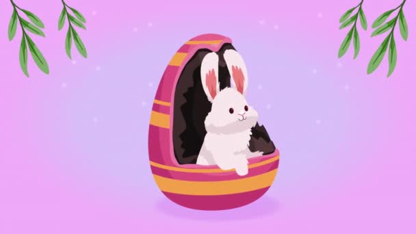 Rabbit Spring Egg Painted Easter Animation Video Animated — Vídeo de Stock