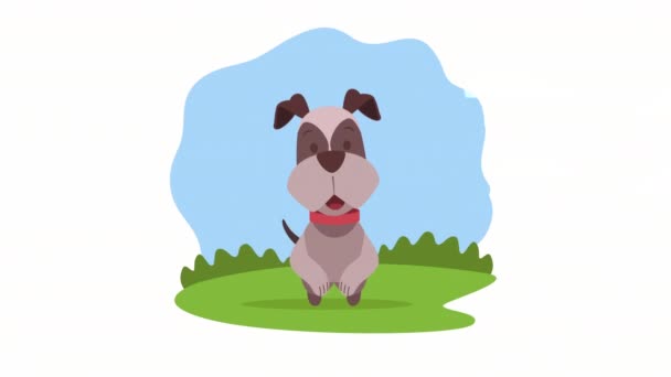 Dog Schnauzer Landscape Scene Video Animated — ストック動画