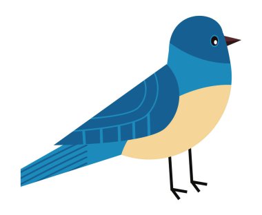 blue and white bird animal