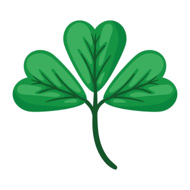 green lucky clover with three leafs