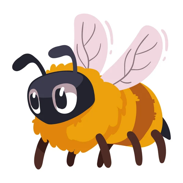 bee insect animal spring season character