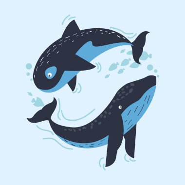 two whales swiming undersea scene