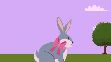 cute rabbit gray in landscape ,4k video animated