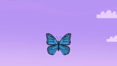 beauty blue butterflies insects flying ,4k video animated