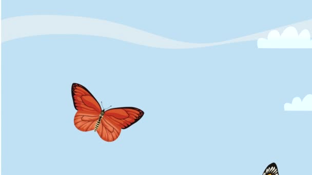 Belleza Rojo Amarillo Mariposas Insectos Video Animado — Vídeo de stock