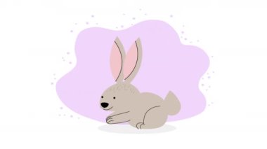 cute rabbit gray running animal ,4k video animated