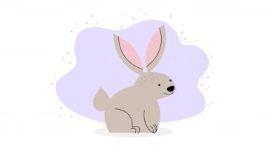 cute rabbit gray seated animal ,4k video animated