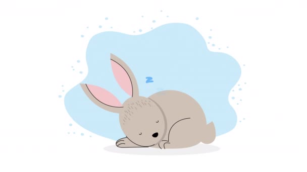 Cute Rabbit Gray Sleeping Animation Video Animated — Video