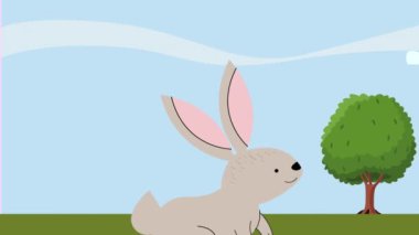 cute rabbit gray in landscape ,4k video animated