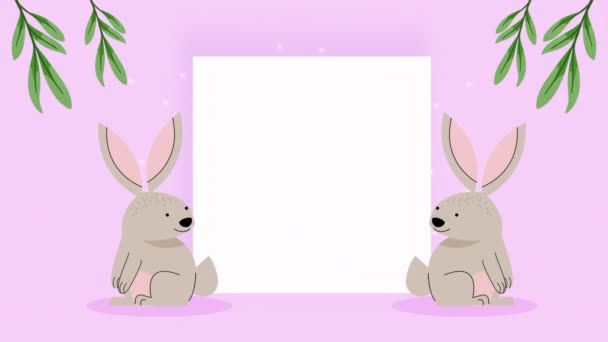 可爱的兔子 正方形框架 4K视频动画 — 图库视频影像