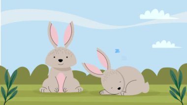 cute rabbits in landscape animation ,4k video animated