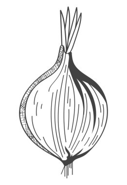 Taze soğan sebze sağlıklı yiyecek.