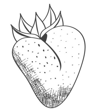 taze çilek meyvesi sağlıklı ikon