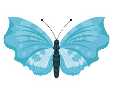 light blue butterfly insect flying icon