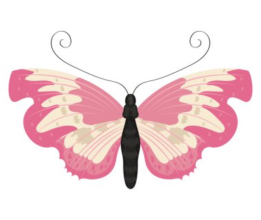 Güzel pembe kelebek böcek simgesi