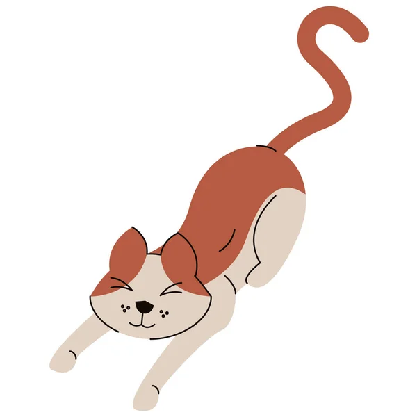 Braunes Und Weißes Katzenmaskottchen — Stockvektor