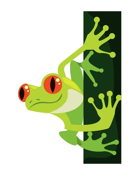 Green Frog Red Eyes Animal — Stok Vektör