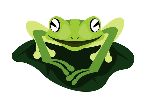 Green Frog Leaf Floating — Stok Vektör