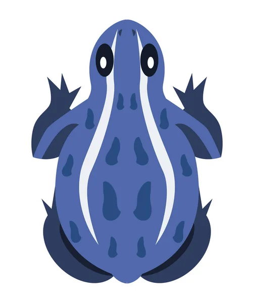 Blue Exotic Frog Airview Character — Stockvektor