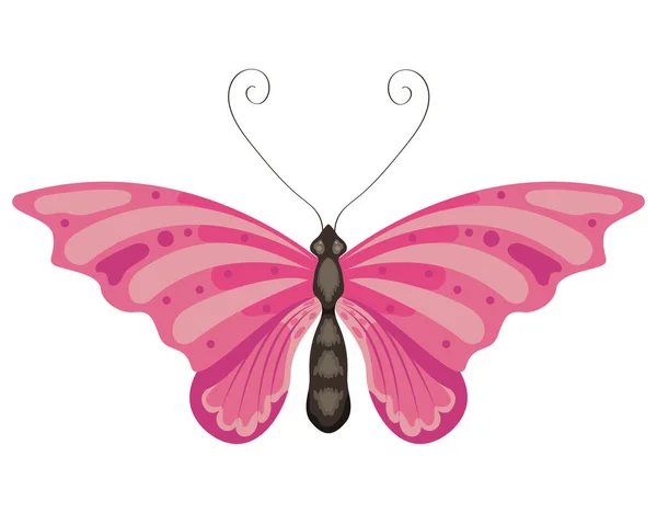 Schönheit Fucshia Schmetterling Insekt Symbol — Stockvektor