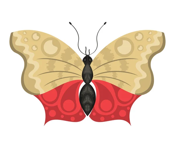 Rotes Und Beiges Schmetterlingsinsekt — Stockvektor