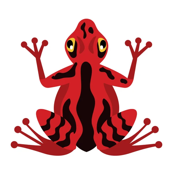 Red Exotic Frog Amphibian Animal — Stok Vektör
