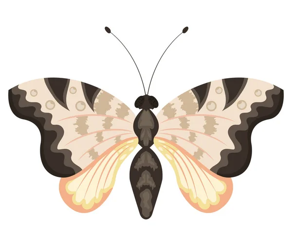 Insetto Farfalla Bianco Nero — Vettoriale Stock