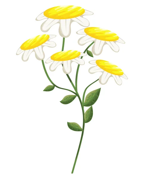 Jasmine Flower Plant Garden Icon — Wektor stockowy