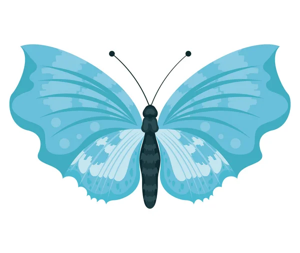 Papillon Bleu Clair Insecte Volant Icône — Image vectorielle