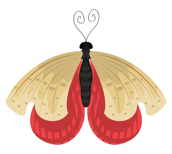 Rote Und Beige Motteninsekten — Stockvektor