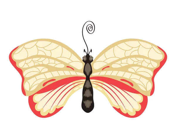 Sarı Kırmızı Kelebek Böceği — Stok Vektör