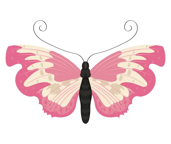 Schönheit Rosa Schmetterling Insekt Symbol — Stockvektor