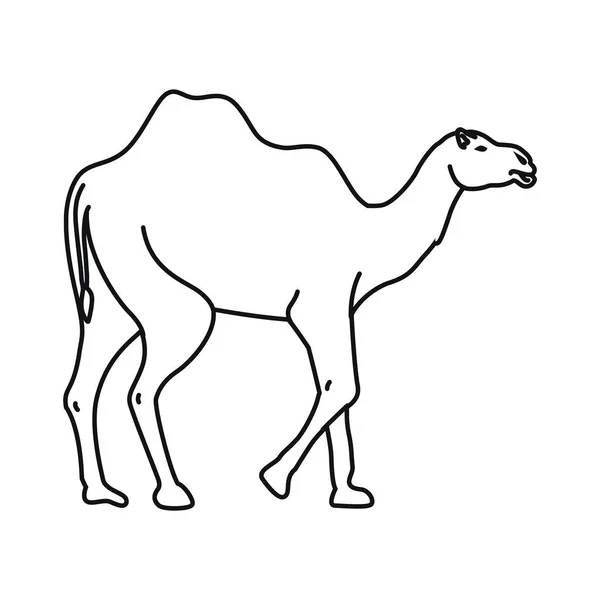 Καμήλα Έρημο Άγρια Ζώο Εικονίδιο — Διανυσματικό Αρχείο