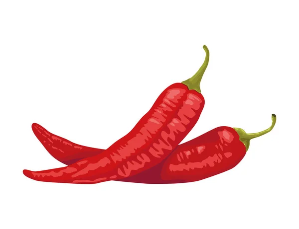 Red Chillis Hot Vegetables Icon — 스톡 벡터