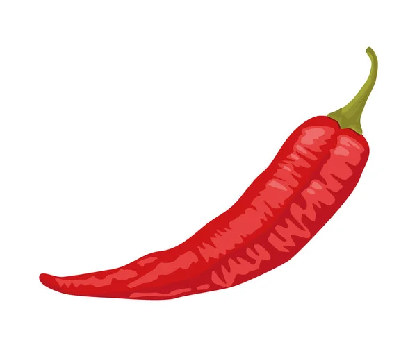 Jalapeno Chilli Hot Vegetable Icon — Stock Vector