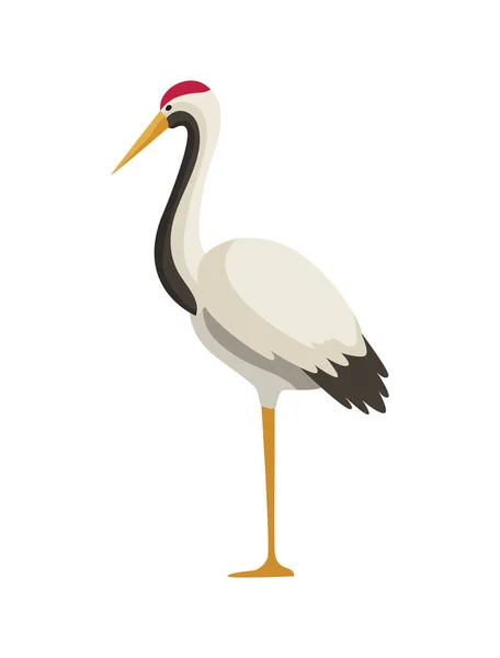Red Crowned Crane Japanese Bird — Stock Vector