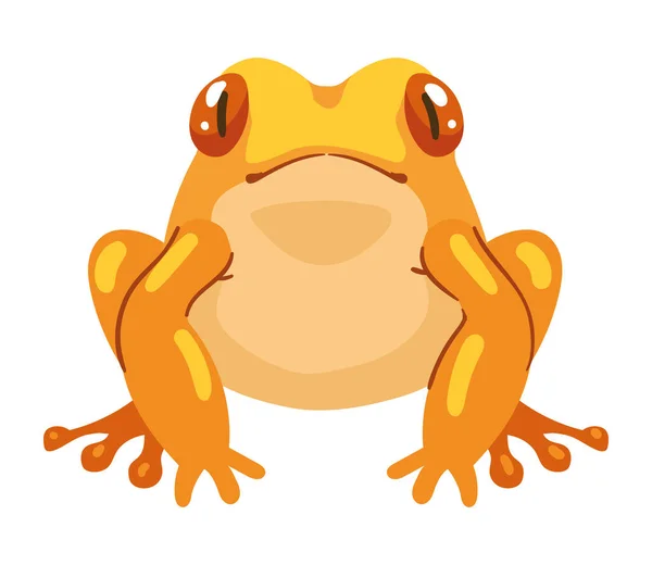 Exotic Yellow Frog Animal Character — Stok Vektör