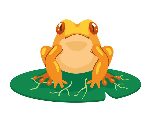 Yellow Frog Floating Leaf — Stok Vektör