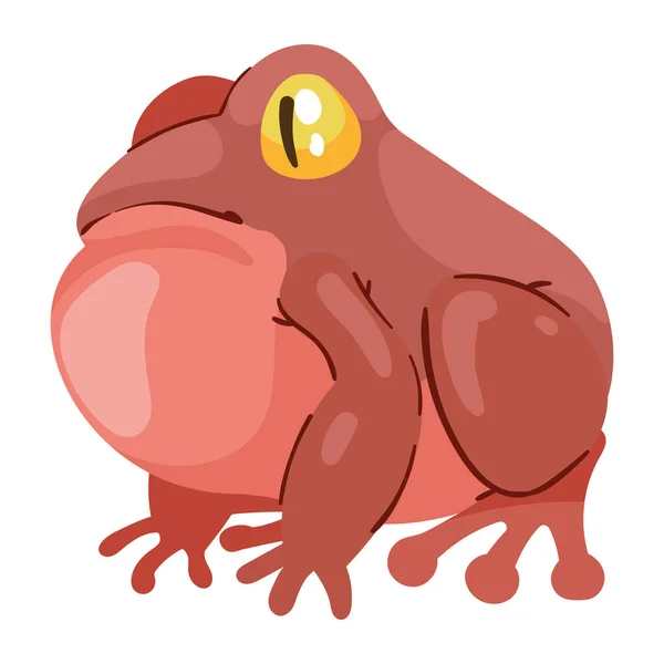 Exotic Red Frog Wild Animal — Stockvector