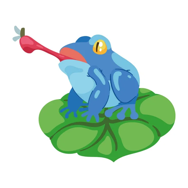 Blue Frog Eating Fly Leaf — Stock Vector